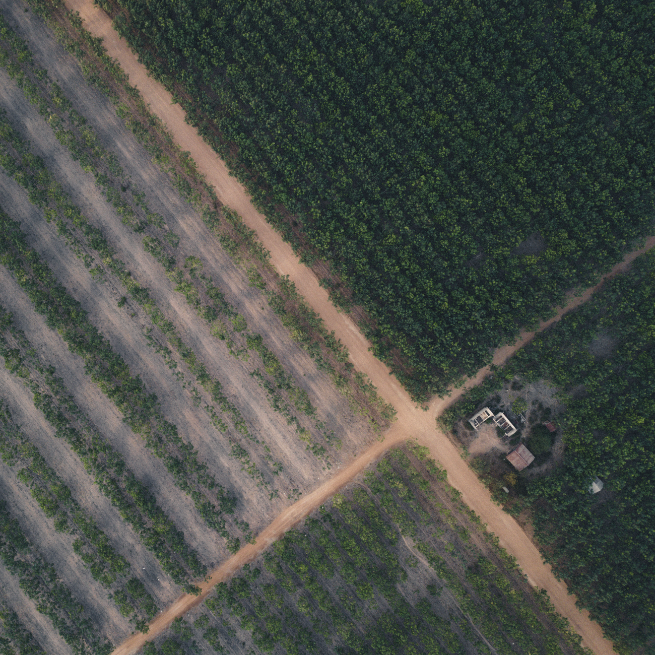 Tax Planning for Farm Succession