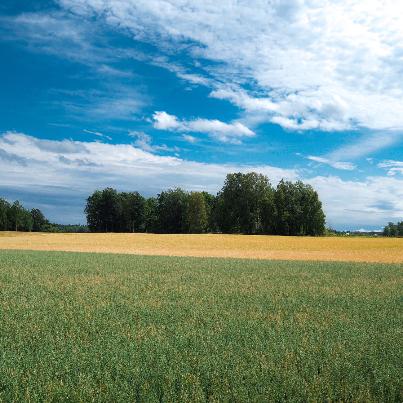 Preparing the Next Generation for Farm Succession